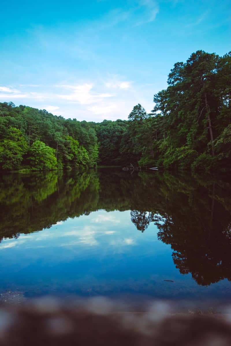 Sanford Forest Lake Reflection - Image 1