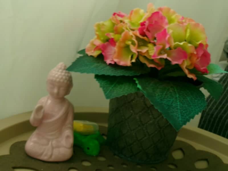 Indoor Still Life Arrangement - Image 1