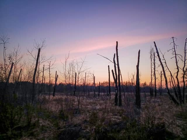 Krężel Marshland Silhouettes - Image 1