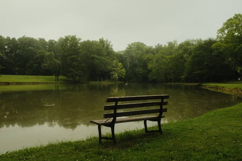 New Harmony Pond - Image 1