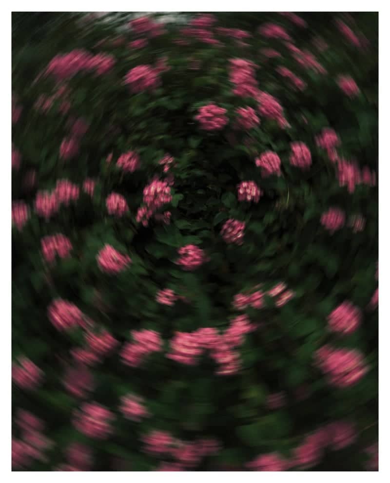 Chevella Countryside Blooms - Image 1