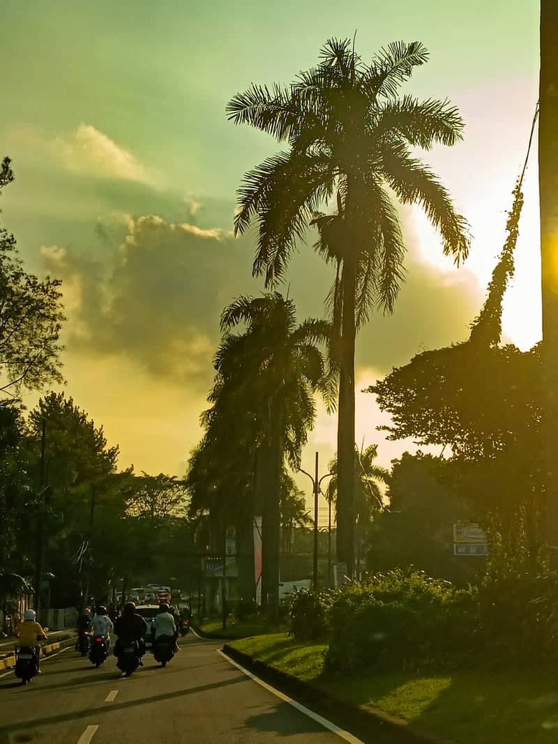 Palm-Lined Boulevard, BSD City - Image 1