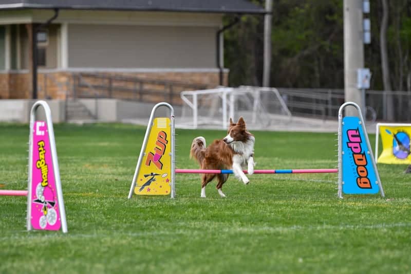 Jack Allen Soccer Complex - Image 1