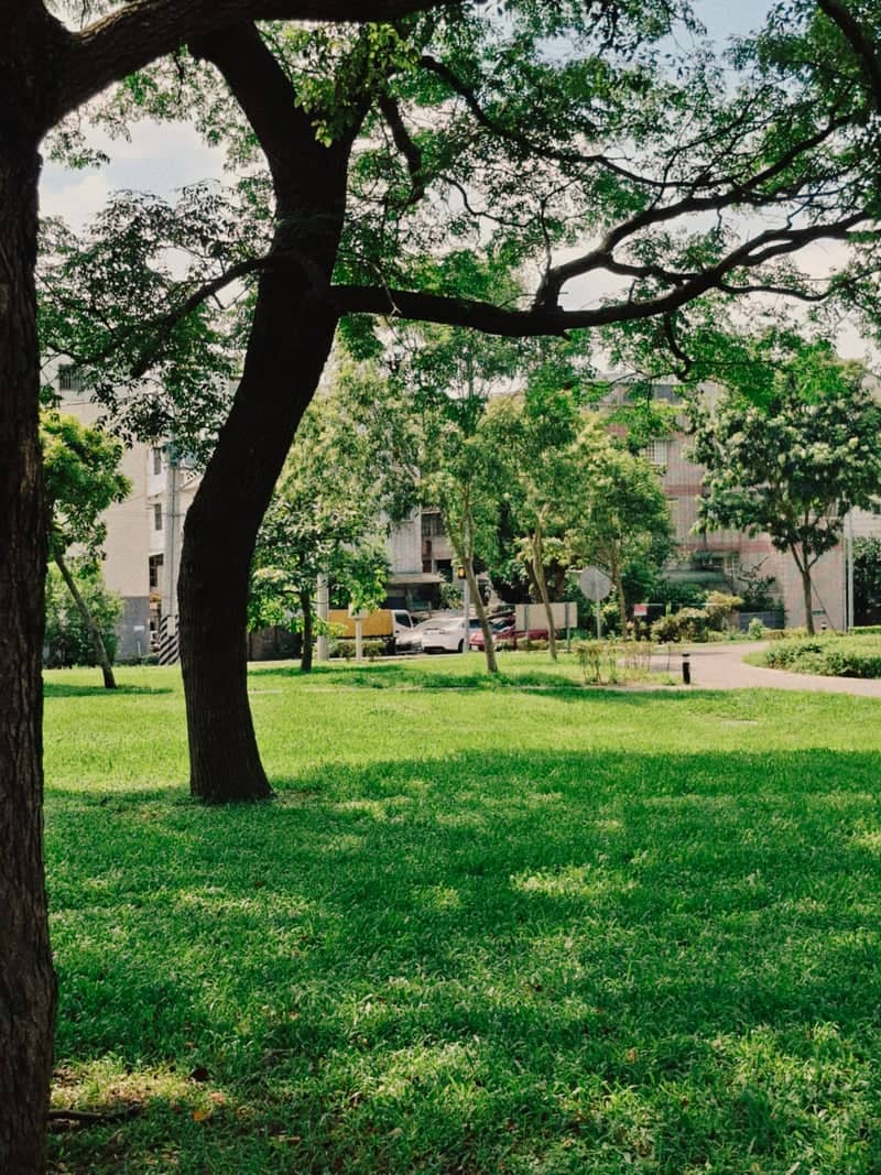 Wenhua Park, Yangmei - Image 1