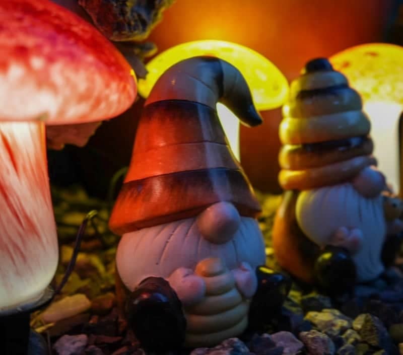 Backyard Garden Gnome Display - Image 1