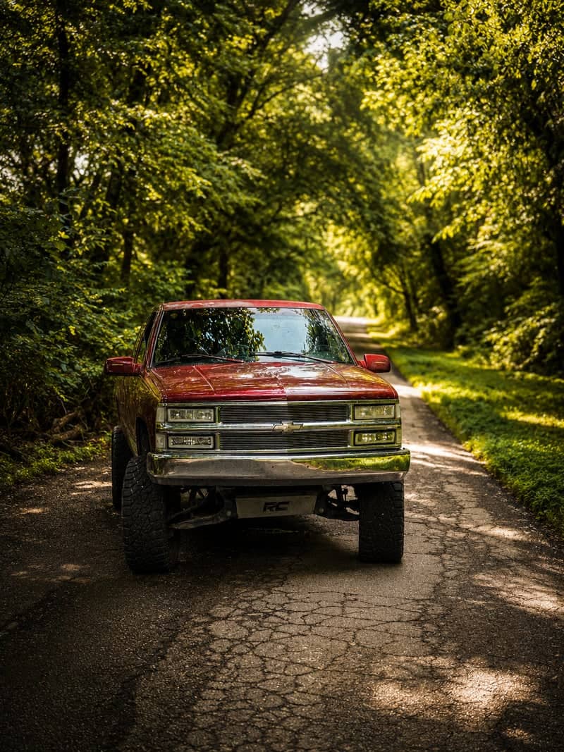 Grand Lake Wooded Backroads - Image 1