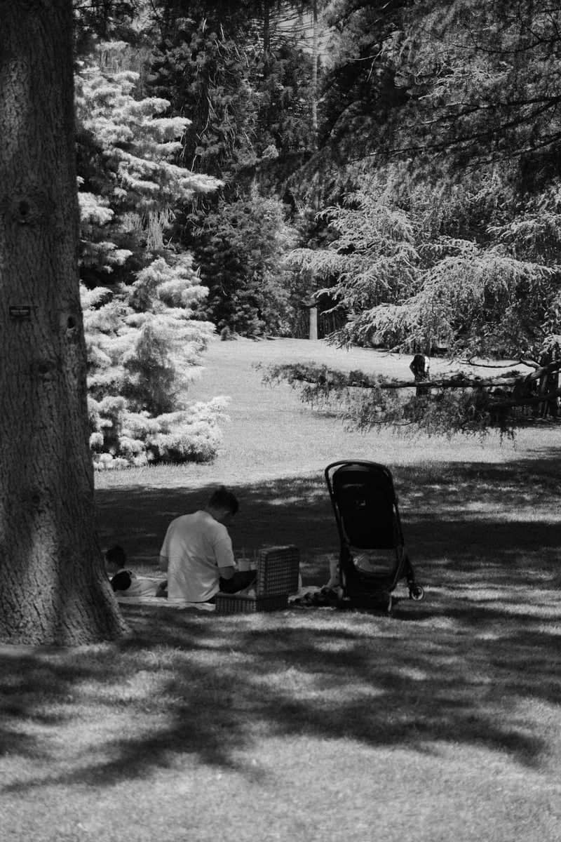 Adelaide Botanic Garden - Image 1