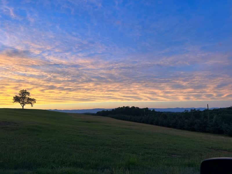 Easley Foothills Sunset Overlook - Image 1