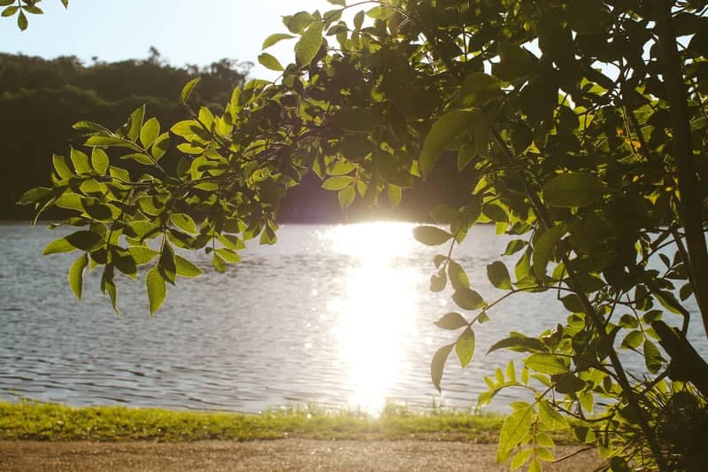 Tuiuti Lakeside Overlook - Image 1