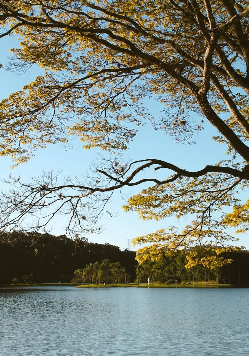 Tuiuti Lakeside Park - Image 1
