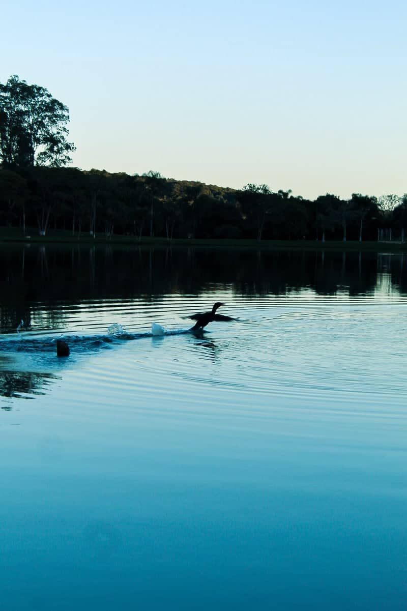 Tuiuti Lakeside - Image 1
