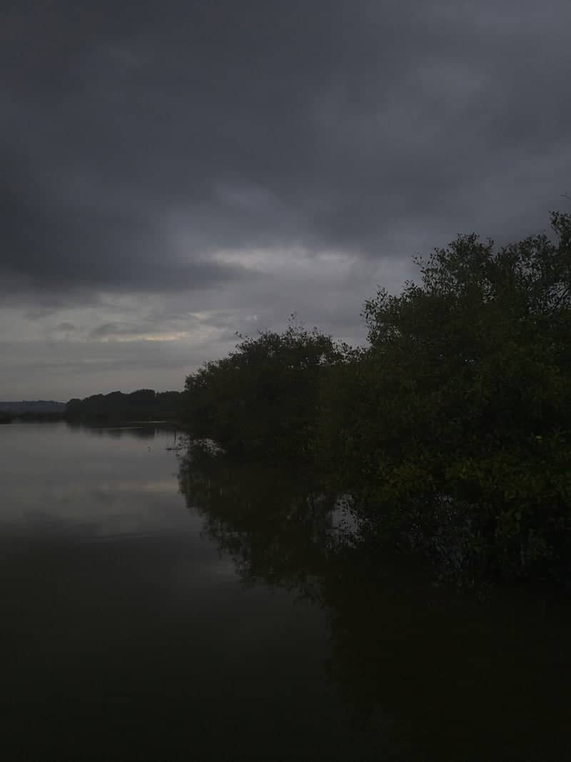 Mandovi River Backwaters - Image 1