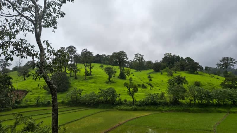 Honnavar Lush Green Hills - Image 1