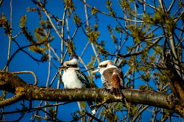 Mansfield Wildlife Spot - Image 1