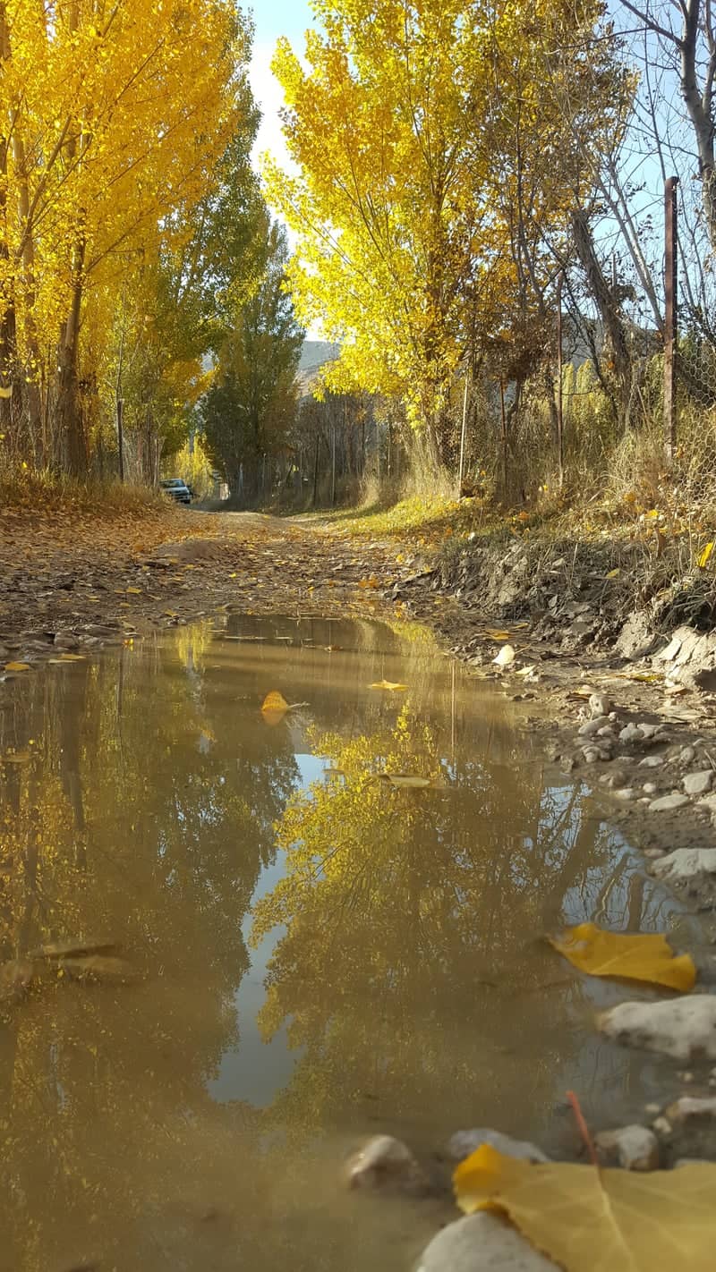 Autumn Lane Reflection, Tehran - Image 1