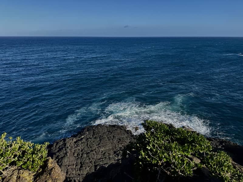 Bald Hills Coastal Cliffs - Image 1