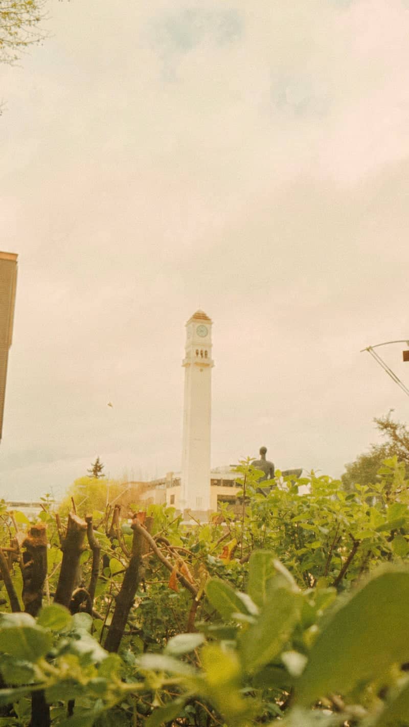 Campanil de la Universidad de Concepción - Image 1
