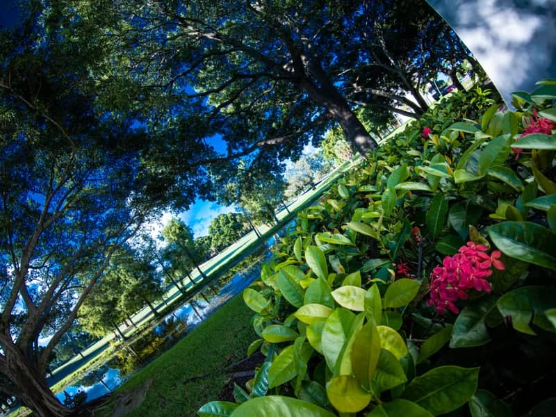 West Broward Pond Garden - Image 1