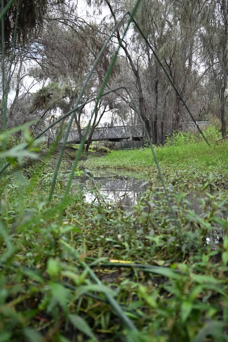 Mildura Riverfront Parklands - Image 1