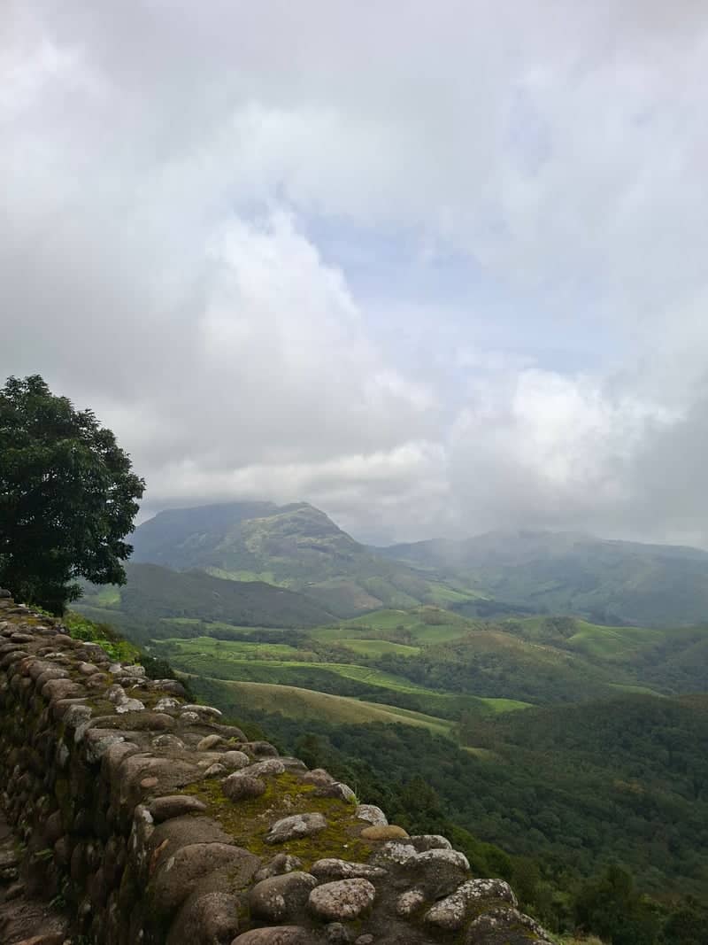 Munnar Tea Valley Overlook - Image 1