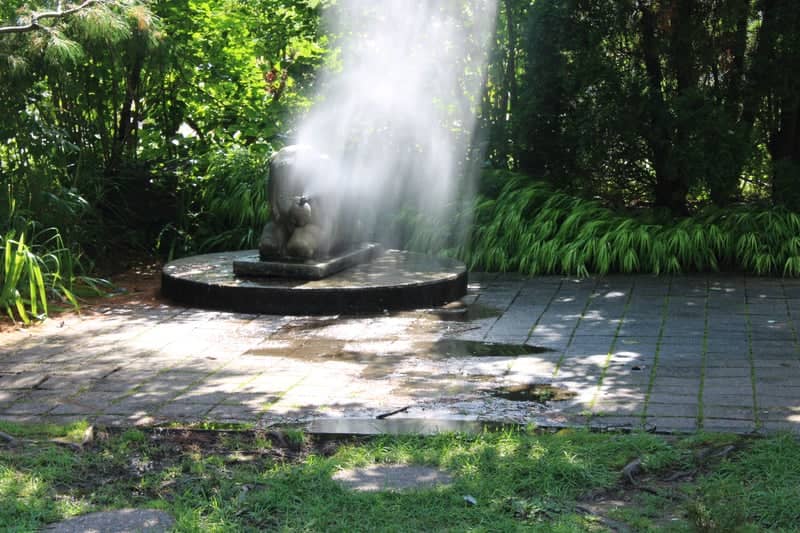 Connecticut's Beardsley Zoo - Image 3