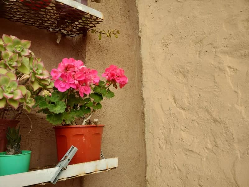 Monte Grande Garden Wall - Image 1