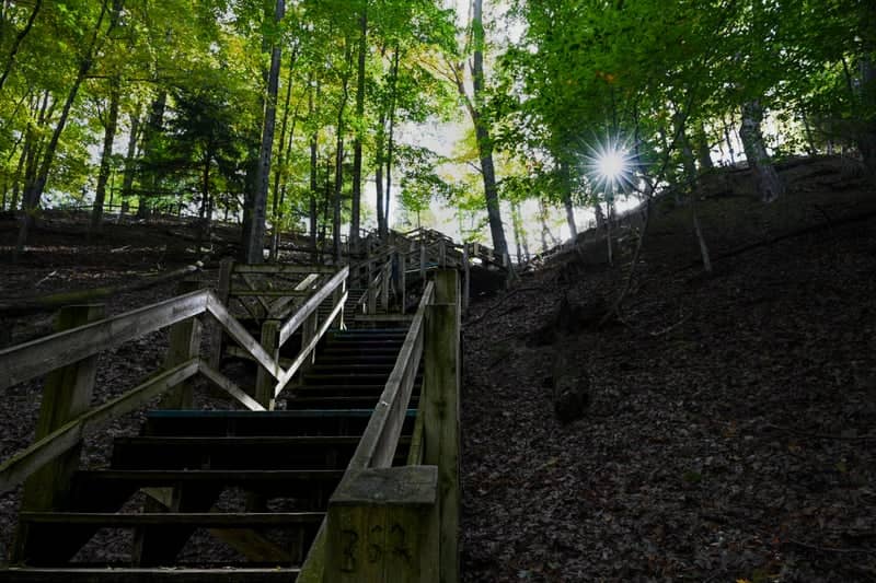 Ludington State Park Skyline Trail - Image 1