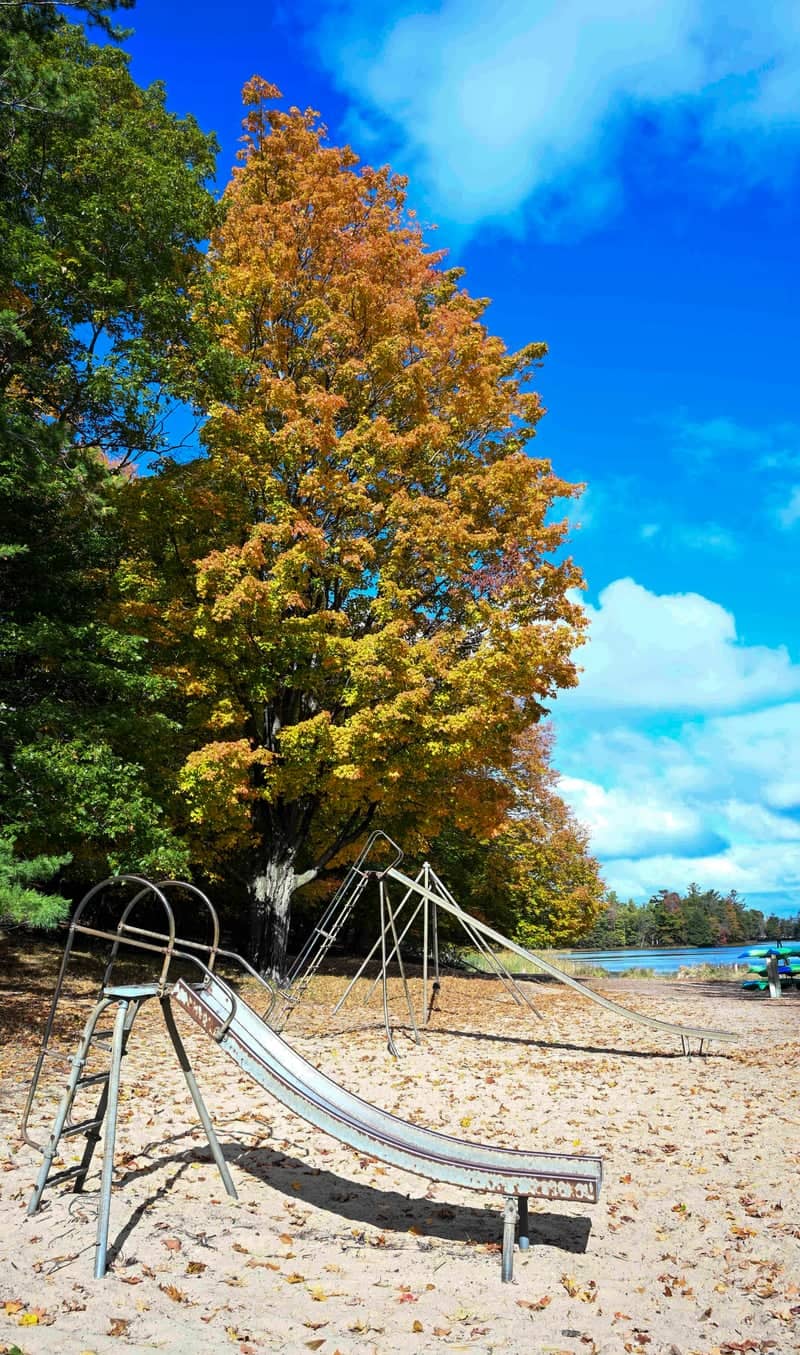 Hamlin Lake Shoreline - Image 1