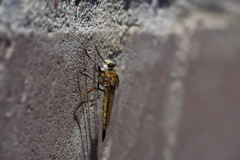 Rio Grande Nature Center State Park - Image 3