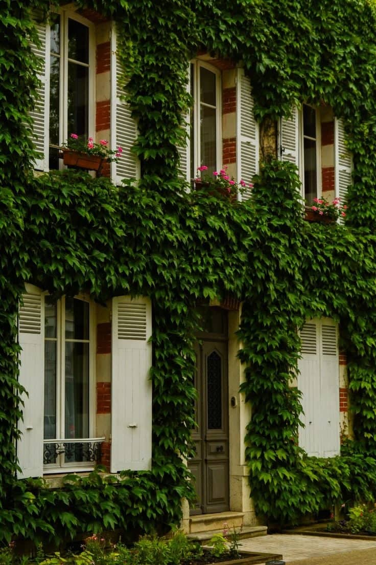Ivy-Covered House in Montargis - Image 1