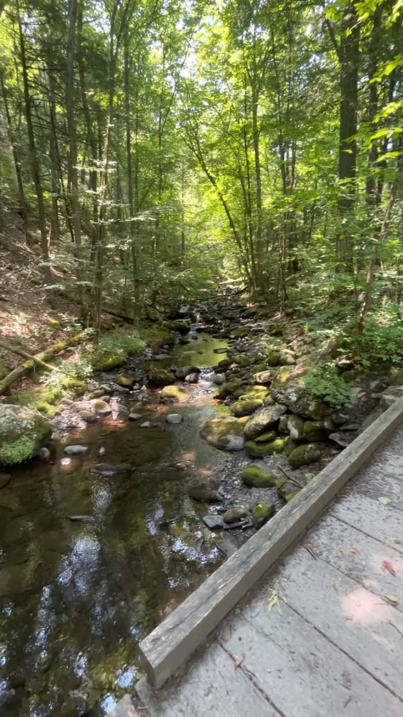 Tillman Ravine - Image 1