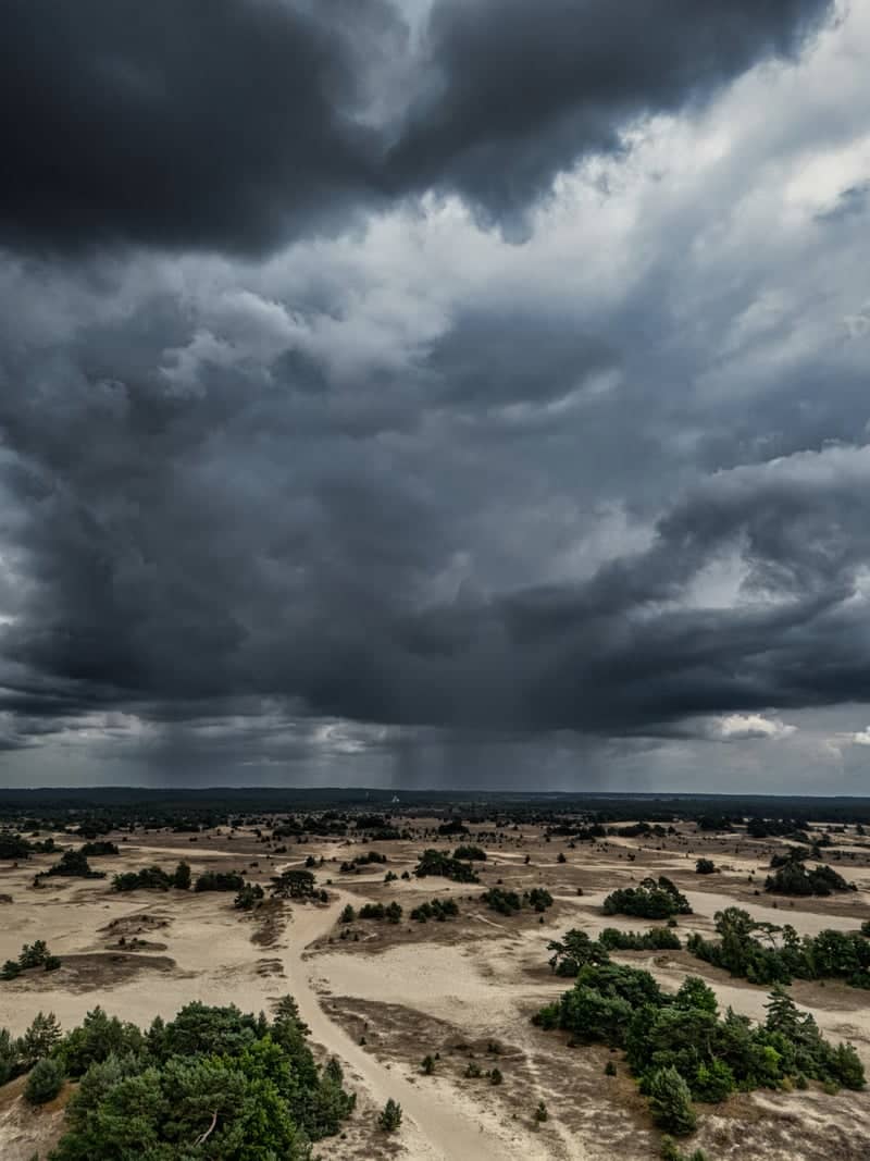 Kootwijkerzand - Image 1