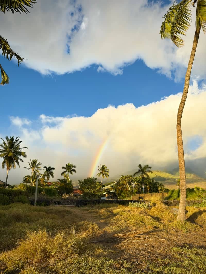 West Maui Mountain View from Lahaina - Image 1