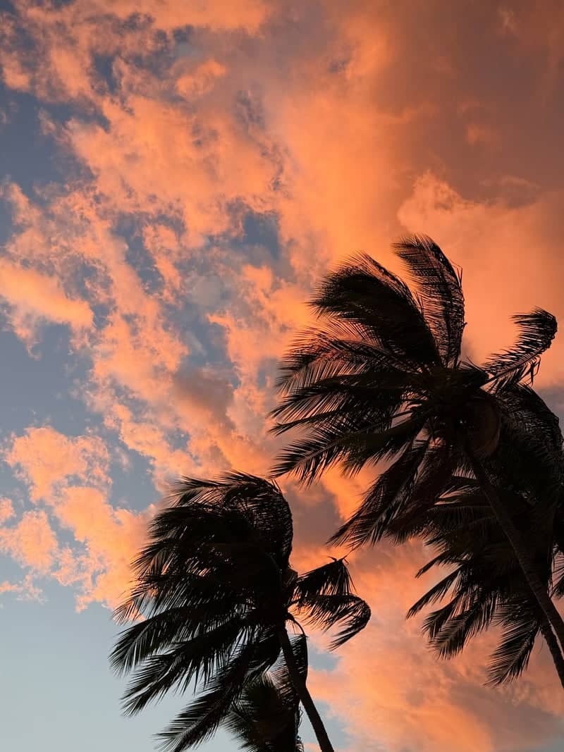 Kai Pali Coastal Sunset - Image 1