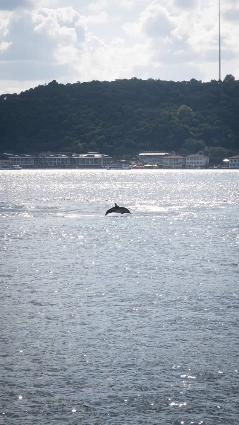Kuleli Bosphorus Waterfront - Image 1