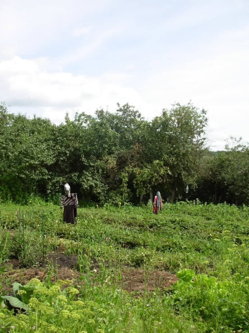Saransk Urban Garden - Image 1