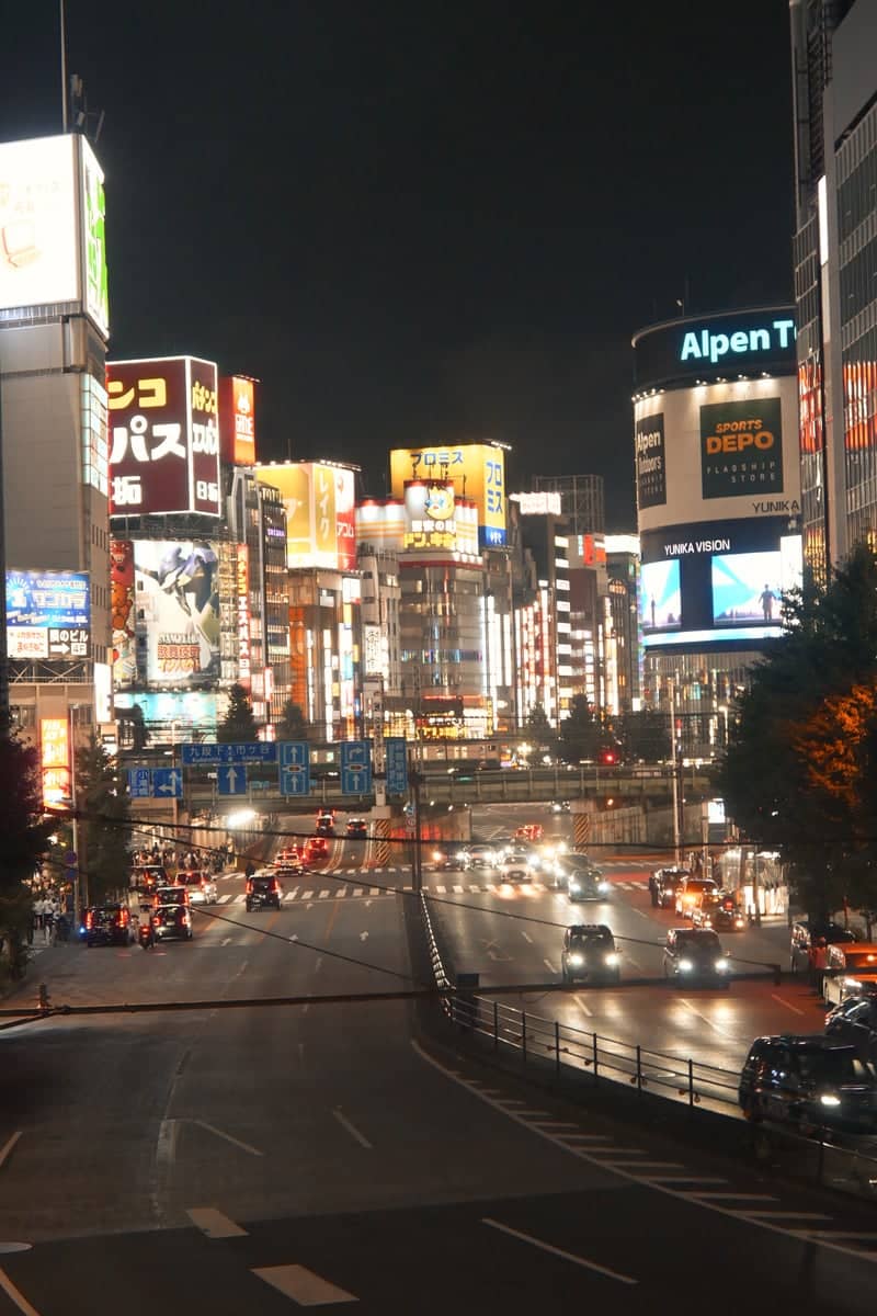 Shinjuku East Exit Overlook - Image 1