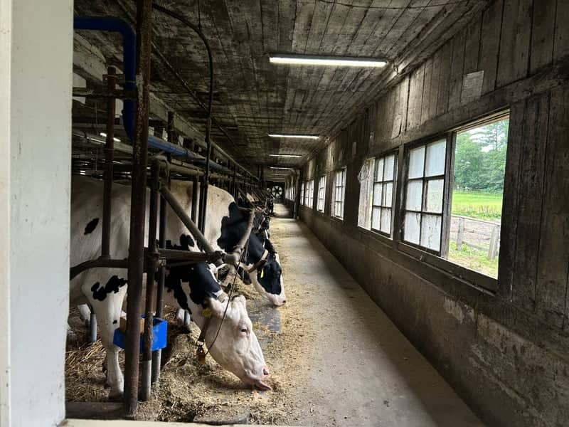 Shizukuishi Dairy Farm Barn - Image 1