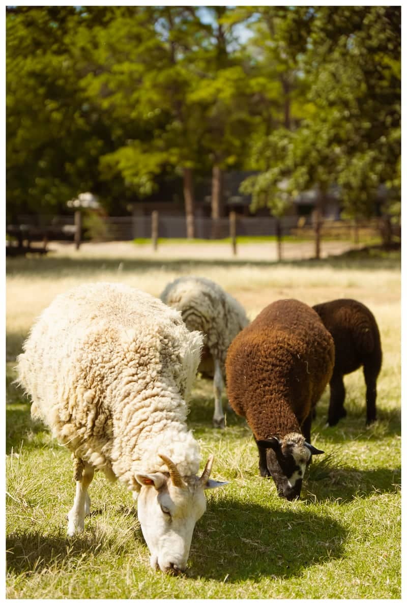 Nash Farm - Image 1