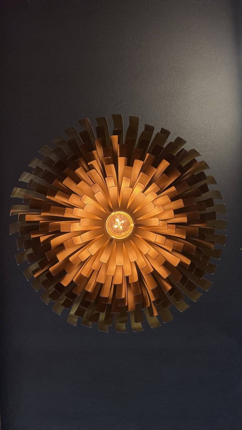Decorative Sunburst Light Fixture - Image 1