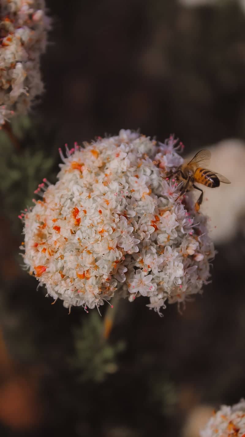 Sweetwater Marsh Wildlife Refuge - Image 1