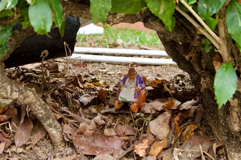 Hidden Miniature Garden Scene - Image 1