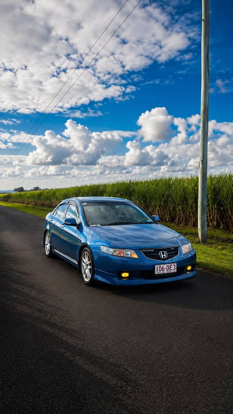 Woongoolba Sugarcane Fields - Image 1