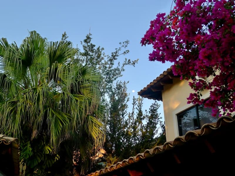Itanhangá Residential Garden