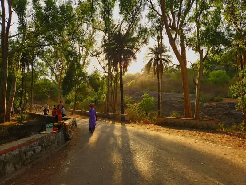 Mount Abu Forest Road - Image 1