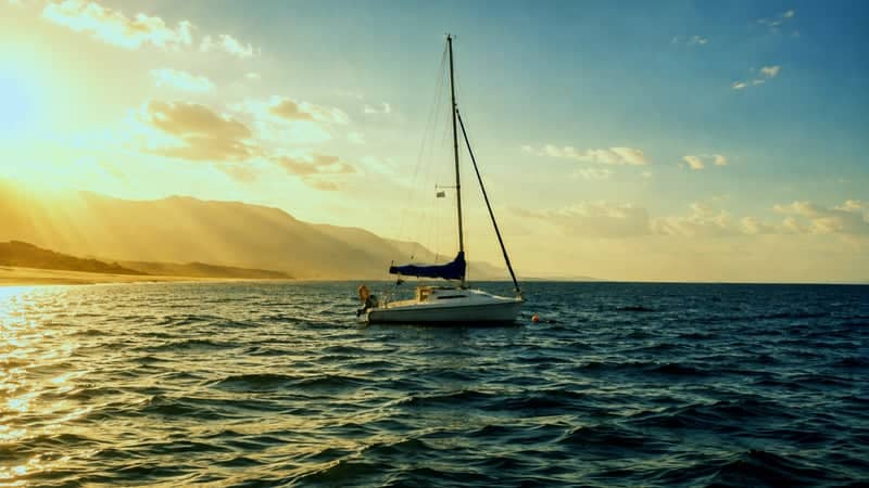 Toroneos Gulf Coast - Image 1