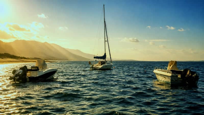 Toroneos Gulf Coast - Image 1