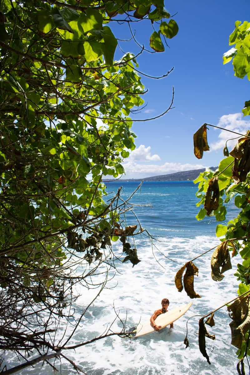 Hilo Bayfront Coastline - Image 1