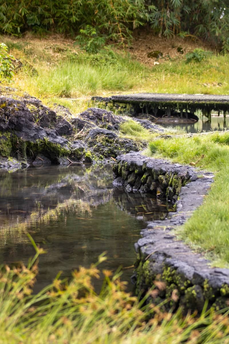 Lava Rock Garden Pond - Image 1