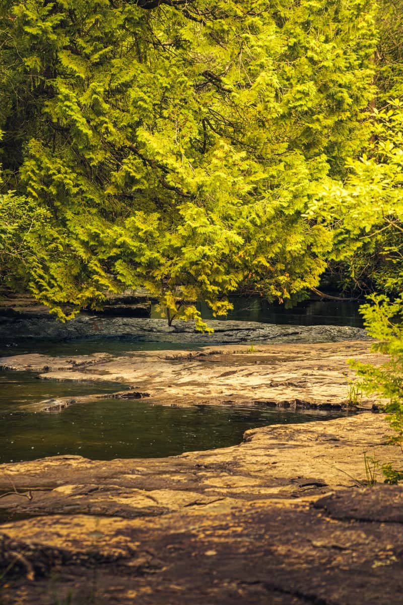 Dismal Falls - Image 5